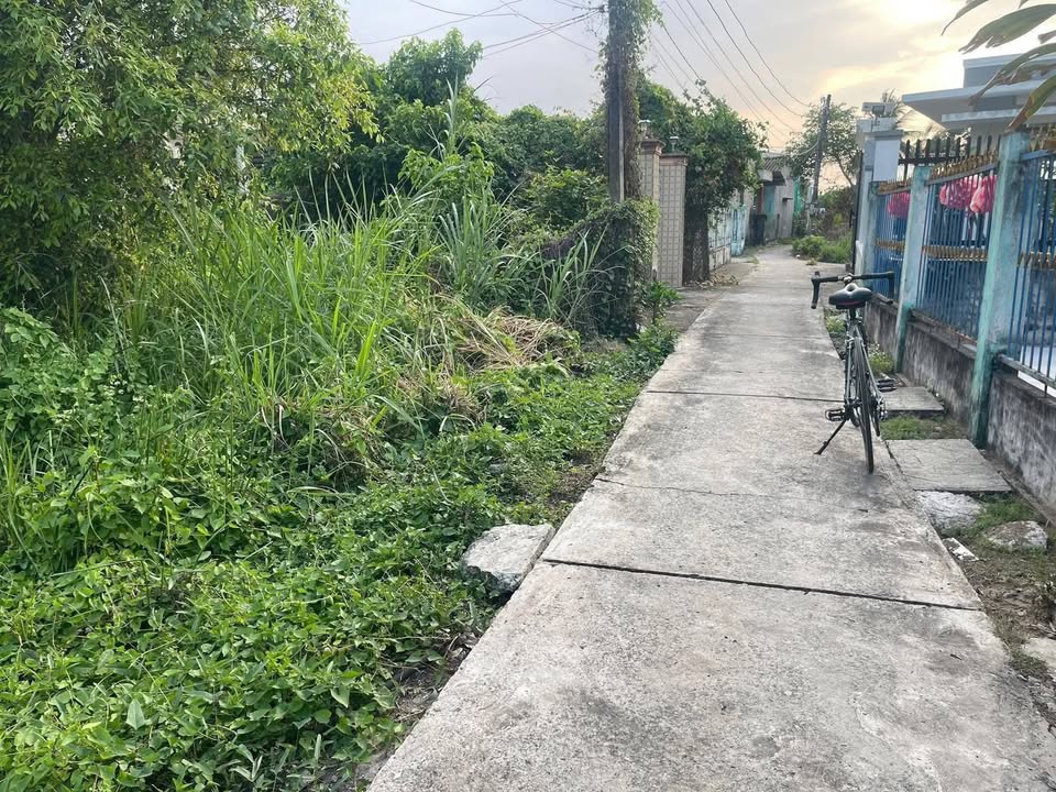 Bán đất thổ cư Bình Quới, Long An - 125m² giá 430 triệu, gần chợ, trường học