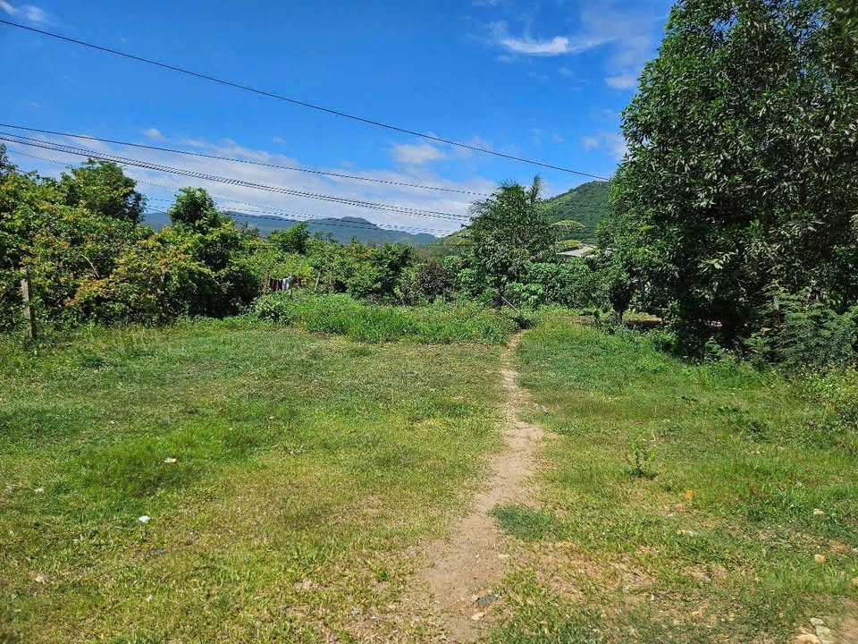 Đất nền mặt tiền Quốc lộ 26, Ninh Hòa 1123m² - Sổ hồng sẵn, giá 1.5 tỷ