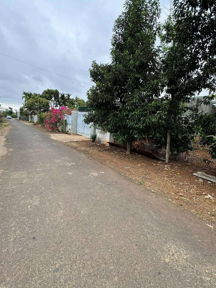 Bán Đất Ea Kao, Buôn Ma Thuột 270m² - Sổ Thổ Cư, Giá Tốt