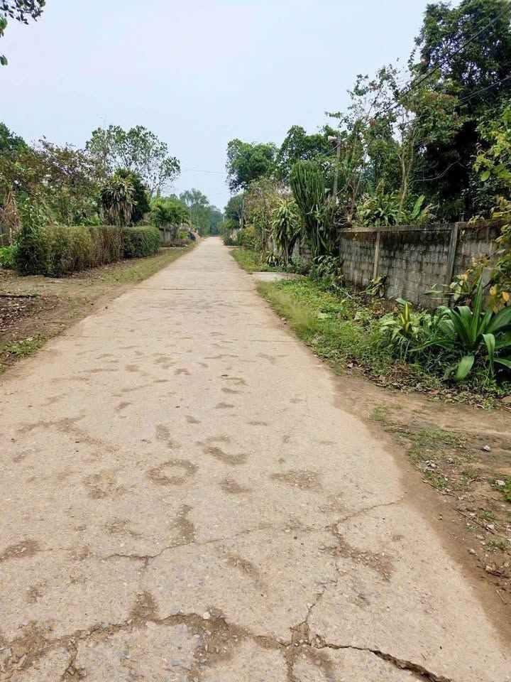 Đất nền F0 Thị trấn Nông Trường Việt Trung - Giá từ 2xx triệu/lô