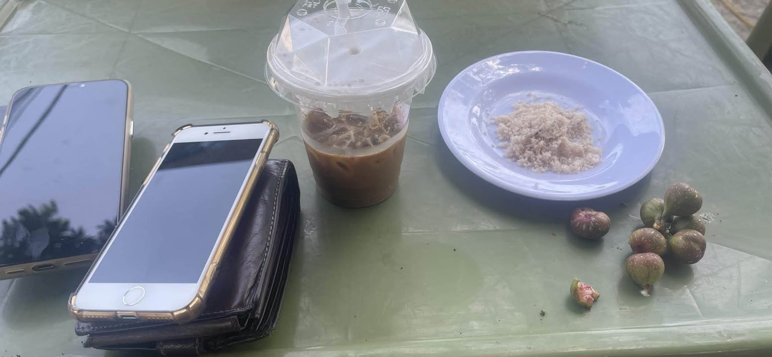 Đất Mặt Tiền Đường Xuyên Á, Ba Đồn - 145.2m² - Kinh Doanh Sầm Uất