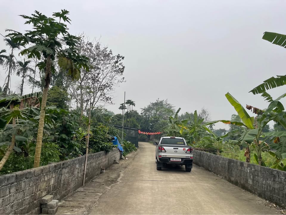 Bán Đất Lương Sơn 152m² - Lô Góc & Mặt Tiền Rộng, Sát KCN, 1.x Tỷ/Lô