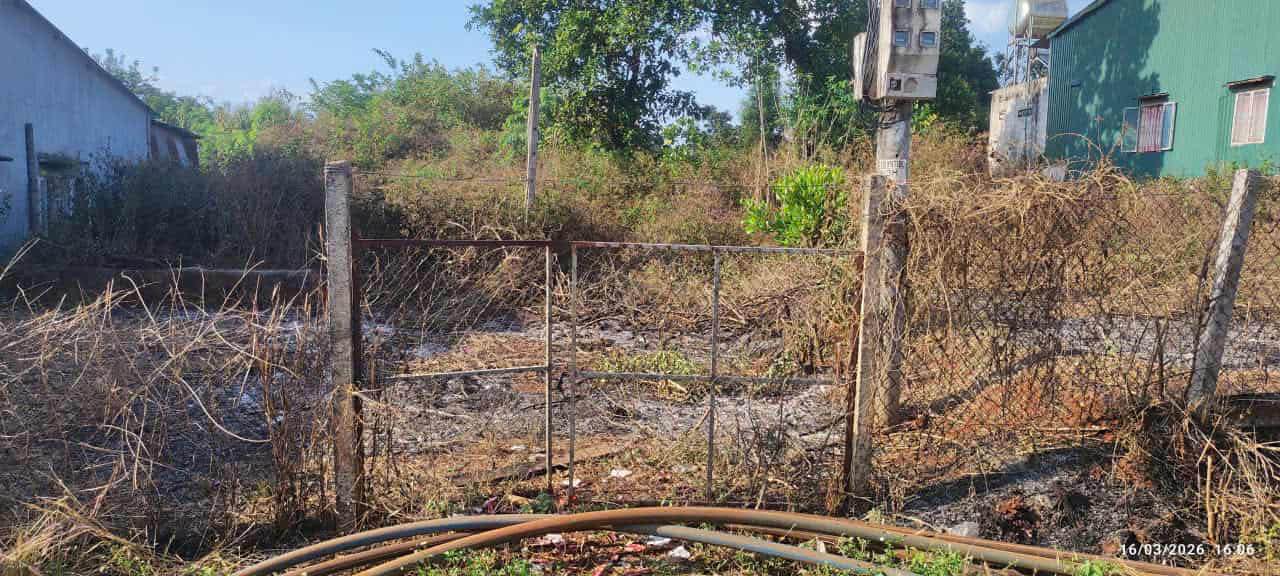 Đất nền 1000m² Ia Grai, Gia Lai - Sổ đỏ riêng, giá 600 triệu