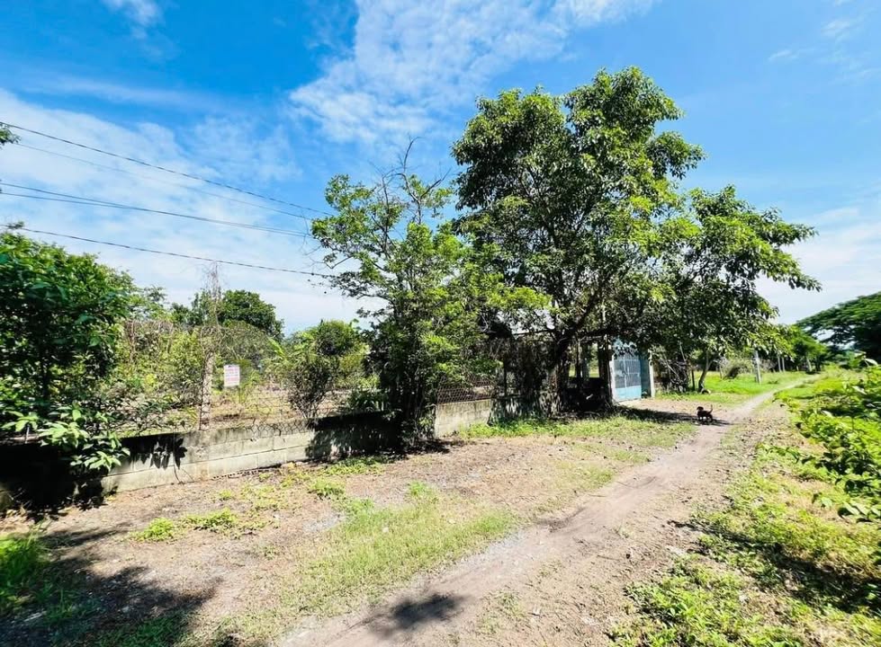 Nhà Vườn Củ Chi 2700m² Giá 10 Tỷ - Sẵn Sàng Dọn Vào Ở Ngay!