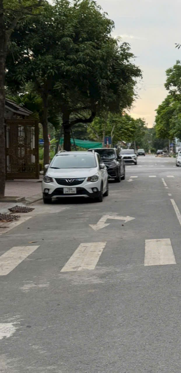 Đất Biệt Thự Mỹ Tho Nam Định - 202m² Hướng Đông - Giá 9.09 Tỷ