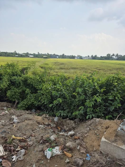 Đất Vườn 6500m² Mặt Tiền Quốc Lộ 80, Kiên Giang - Giá Đầu Tư 1.6 Tỷ/1000m²