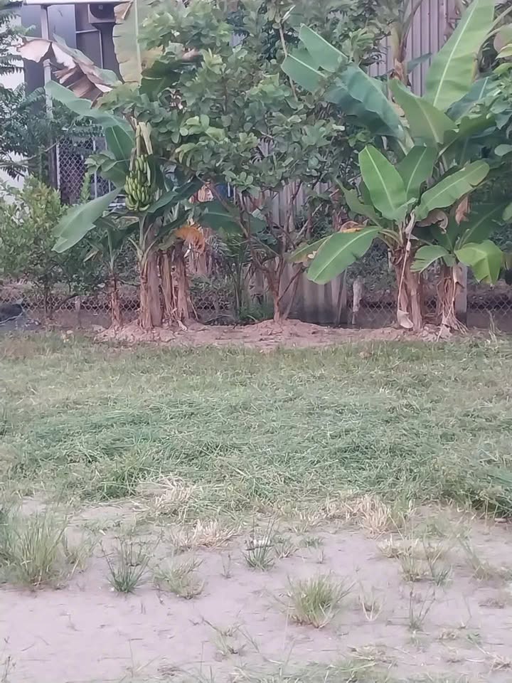 Đất Nền Bình Thủy - 150m² Giá 450 Triệu - Sổ Đỏ Sẵn Sàng