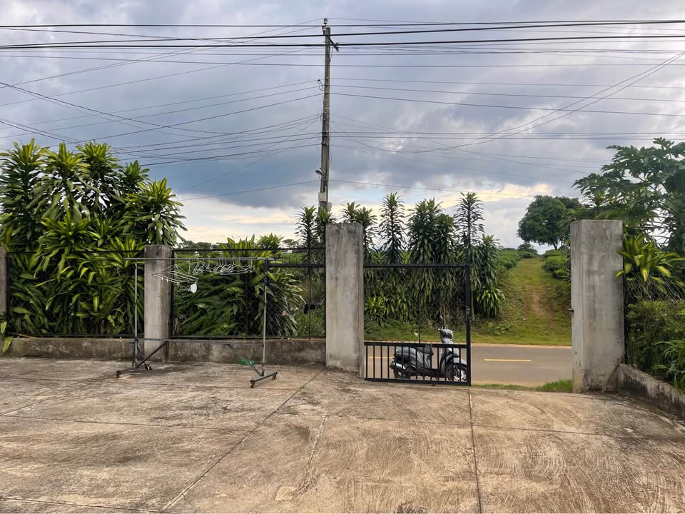 Bán Gấp Nhà Mặt Tiền Tứ Quý, Bảo Lâm - 1162m² Vườn Cây, Sổ Đỏ