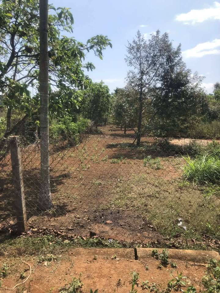 Đất Vàng Xã Cư Bao, Buôn Hồ 285m² - Sổ Hồng Sẵn Sàng - Giá Đầu Tư 57.99 Tỷ