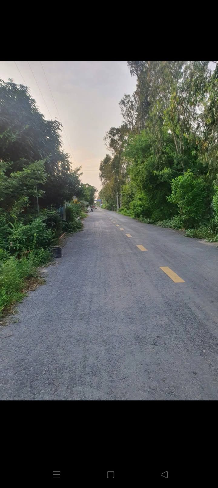 Bán Nền Mặt Tiền Lê Hồng Phong, Châu Đốc - 65.7m² Giá 370 Triệu