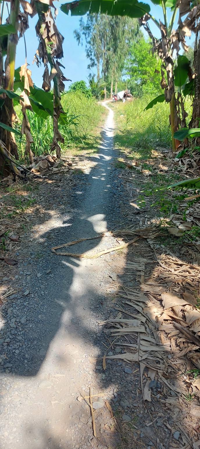 Bán gấp đất lúa 1570m² mặt tiền đường đá, Cao Lãnh - Giá 580 triệu