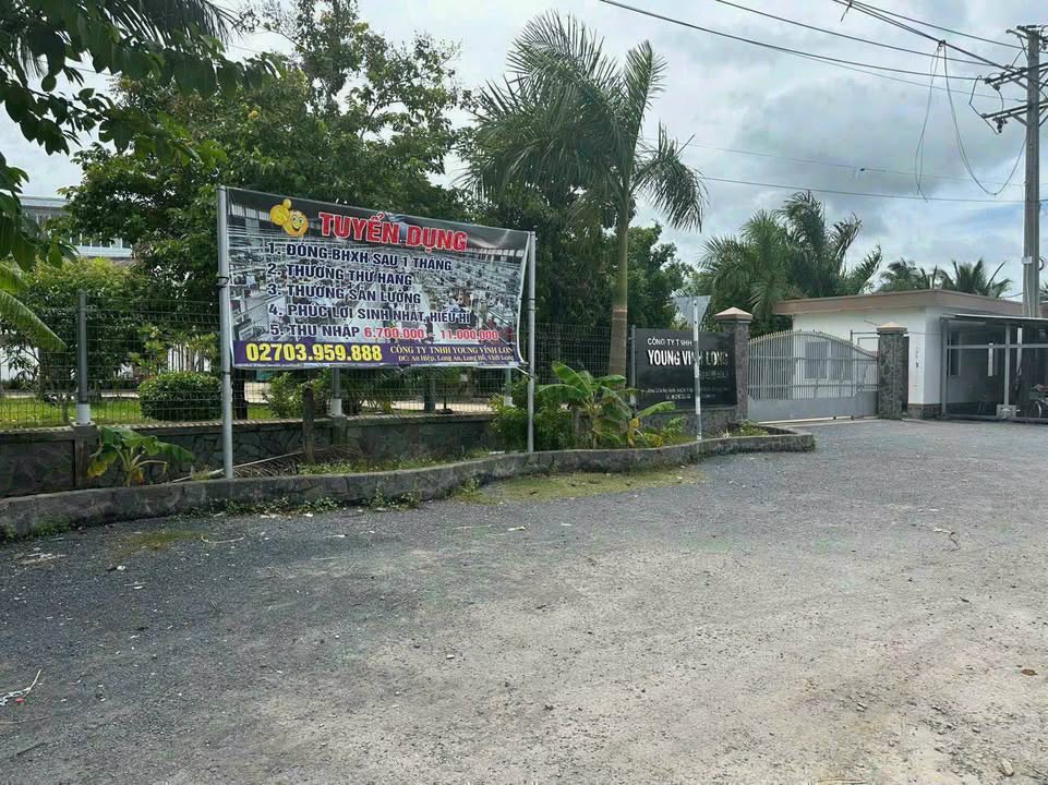 Đất Mặt Tiền Kinh Doanh QL904, Long Hồ, Vĩnh Long - 210m² Giá 1.65 Tỷ