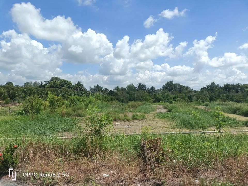 Đất Vĩnh Long 1000m² Lộ Bê Tông - Hướng Nam, Nở Hậu Đẹp