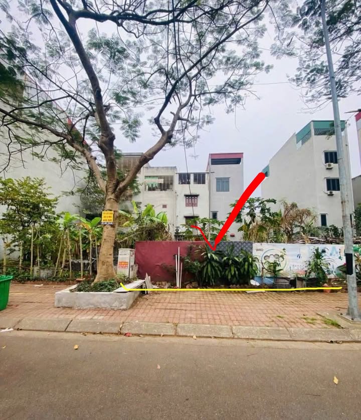 Bán Đất Lô Giãn Dân Yna Bắc Ninh 88m² - Hướng Tây Nam, Giá Tốt