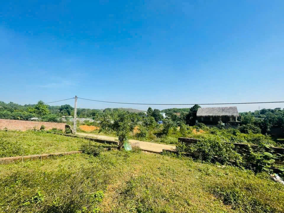 Bán Đất Vườn 1.986m² Đông Xuân, Quốc Oai - Sổ Đỏ, Mặt Tiền Rộng 50m