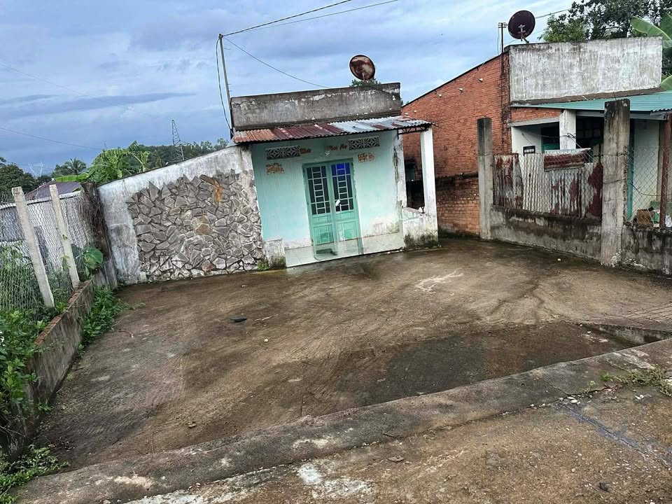 Bán Gấp Đất Vàng 213m² Phú Ngọc, Đồng Nai - Sổ Sẵn Sàng