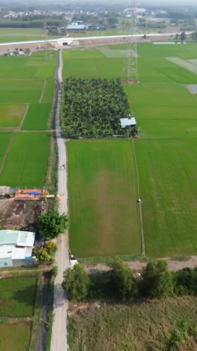 Bán Đất Vườn Nhơn Trạch 1100m² - Sổ Hồng Sẵn Sàng