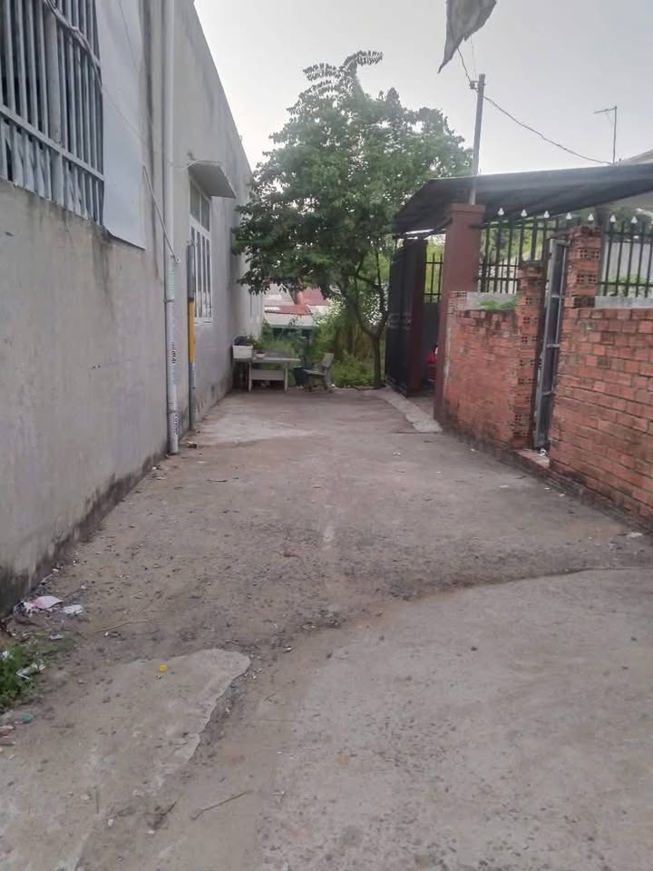 Đất thổ cư Phước Thiền, Long Thành 150m² - Sổ đỏ sẵn sàng giao dịch