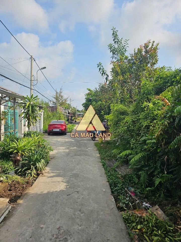 Đất Full Thổ Cư 262m² Phường 9, Cà Mau - Gần Nguyễn Trãi, Giá Tốt