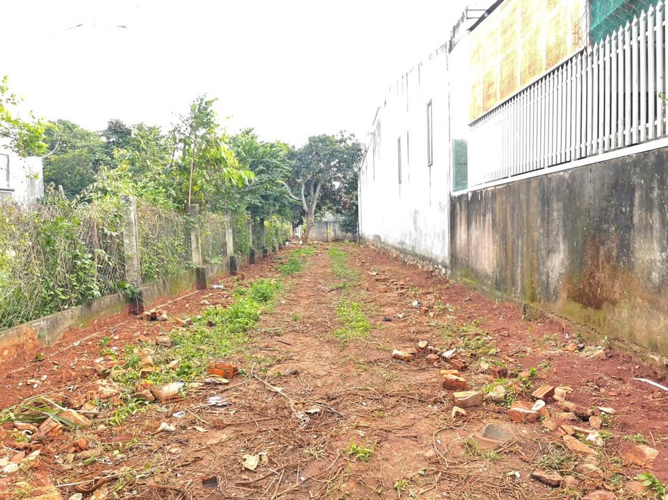 Đất Thổ Cư 200m² Đường A6 - Sổ Hồng Chính Chủ, Gần Phạm Ngũ Lão