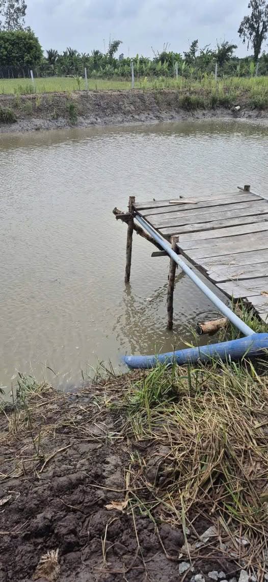 Đất Vườn An Giang 2000m² - Sẵn Mô Hình Ao Hồ Cá, Tặng Nhà & Máy Móc