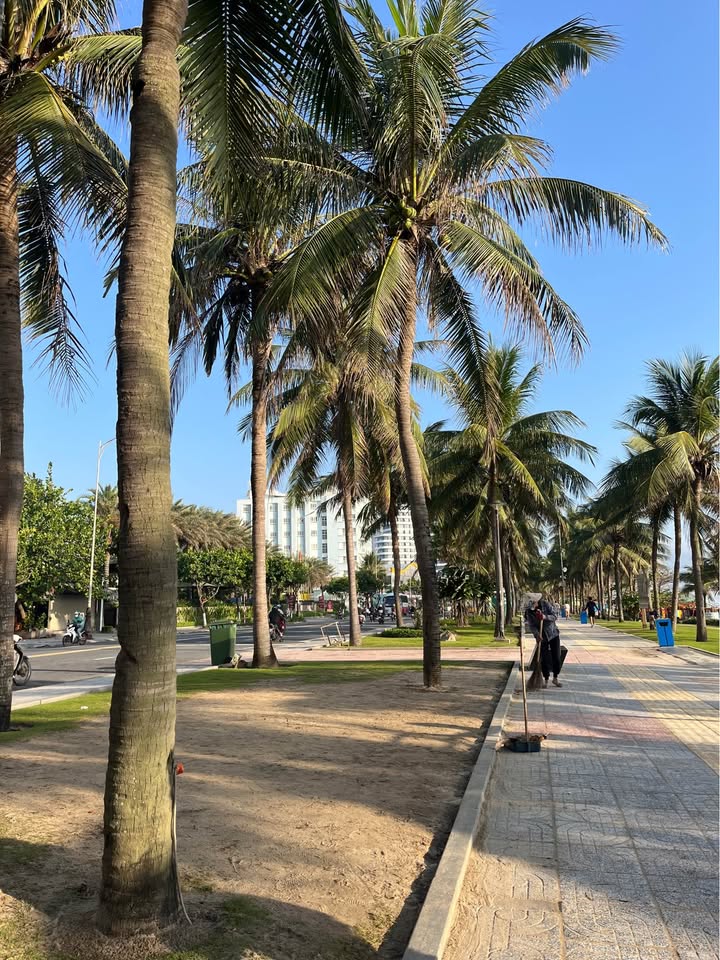 Đất Vàng Sơn Trà 365m² - Tặng Nhà 2 Tầng, Ngang 10m - Kinh Doanh Khách Sạn Lý Tưởng