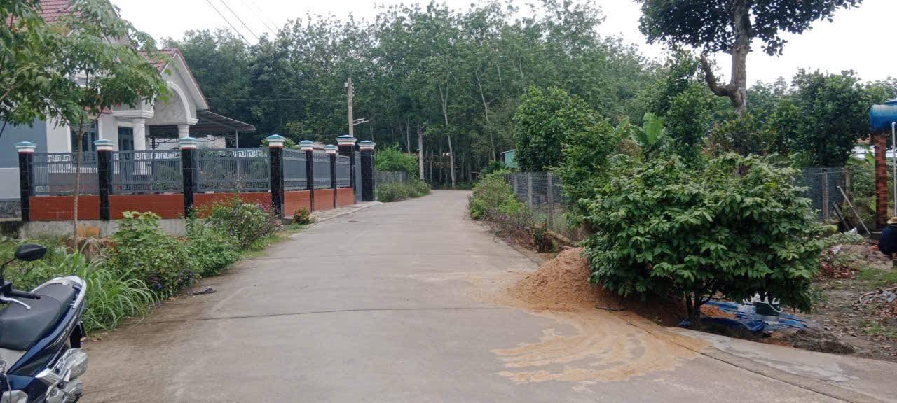 Đất Thổ Cư 100m² Quận Bình Tân - Sổ Hồng Sẵn Sàng