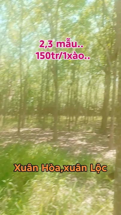 Bán Đất Vườn 23.000m² Xuân Lộc, Đồng Nai - Sổ Riêng, Giá Đầu Tư 3.45 Tỷ