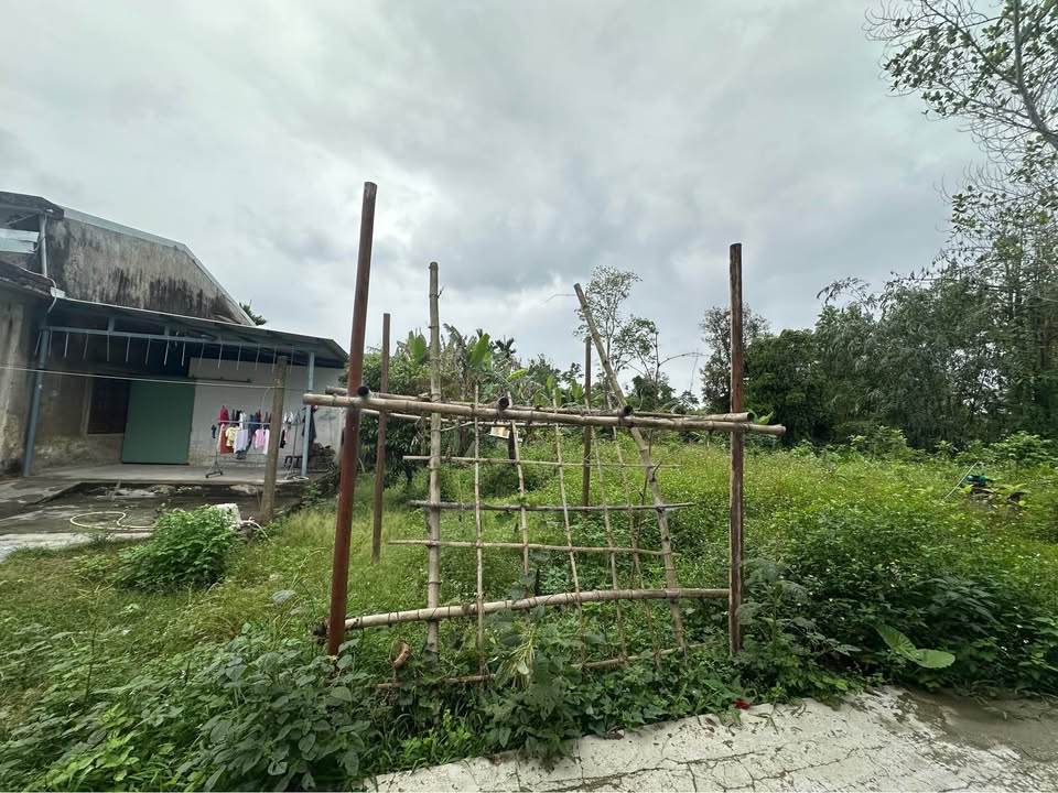 Đất nền An Tâm, Đà Nẵng 135.6m² - Sổ đỏ sẵn sàng công chứng