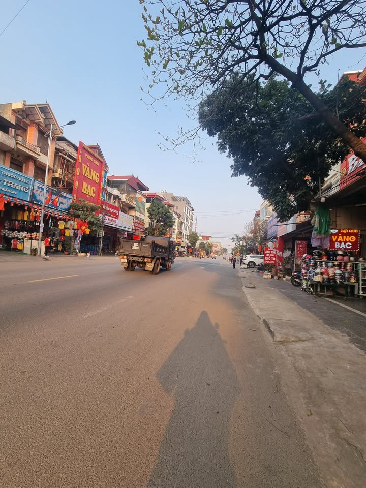 Đất Vàng Phương Sơn - Lục Nam 100m² Sổ Đỏ Chính Chủ Giá 2.65 Tỷ