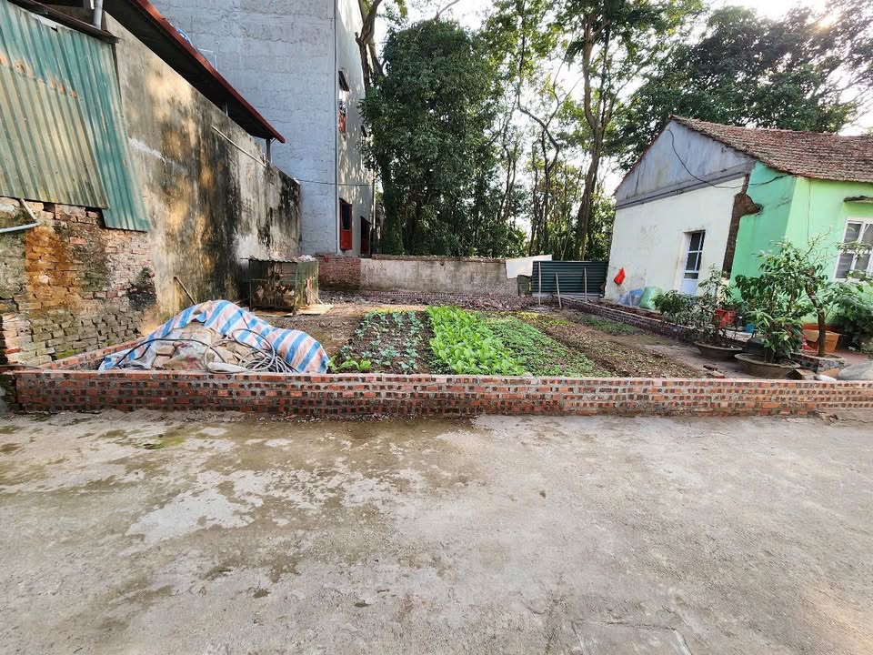 Đất Nền Phúc Thọ 101m² Sổ Đỏ Chính Chủ - Tiềm Năng Sinh Lời Cao