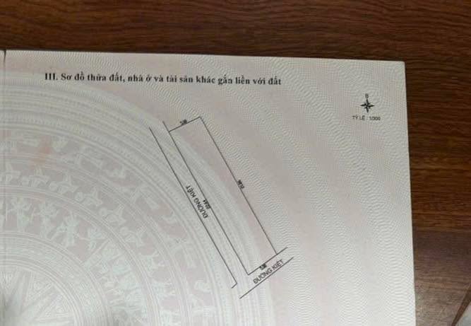 Đất Lô Góc 110m² Ngũ Hành Sơn - Sổ Đỏ, Kinh Doanh Tốt, Giá 4 Tỷ