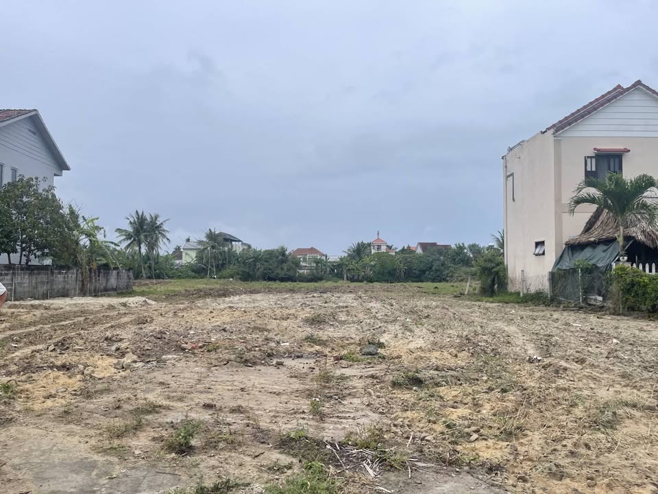 Đất Vàng Hội An 8.700m² Mặt Tiền Cẩm Thanh - Đầu Tư Resort, Homestay Siêu Lợi Nhuận!