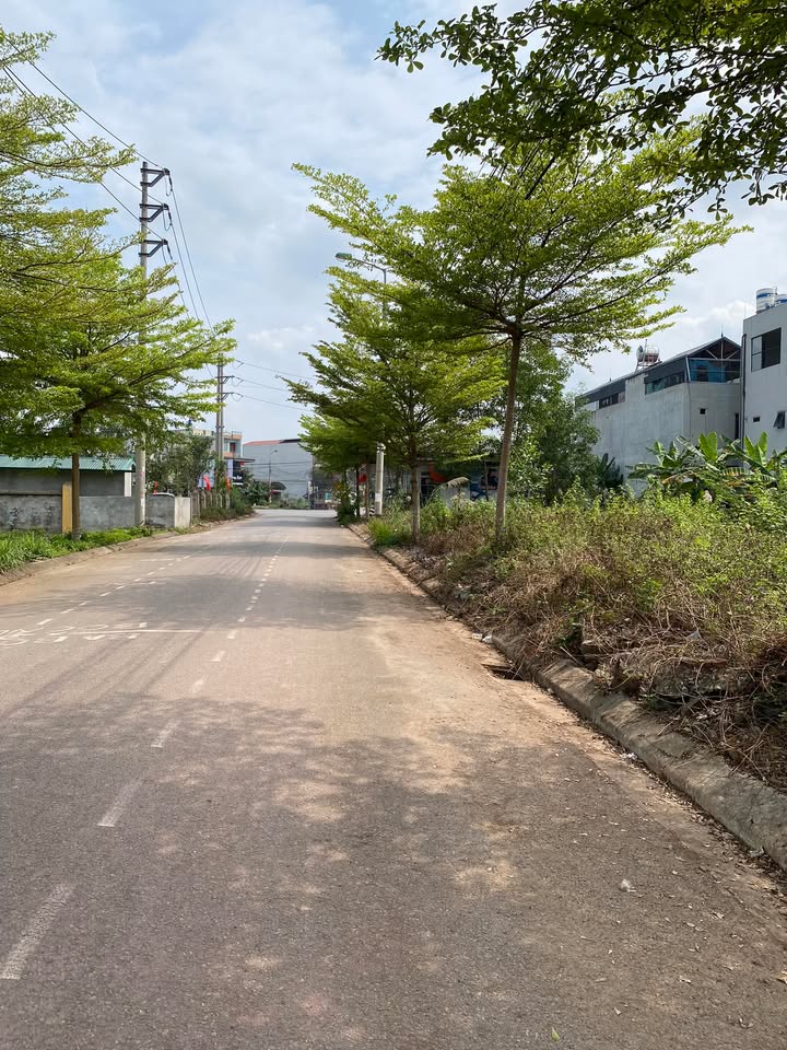 Đất nền Lạng Giang 90m² - Sổ đỏ trao tay, kinh doanh đắc lợi