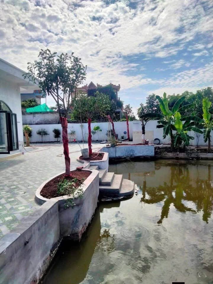 Bán Gấp Biệt Thự Vườn 600m² Minh Lãng, Vũ Thư - Giá 1 Tỷ