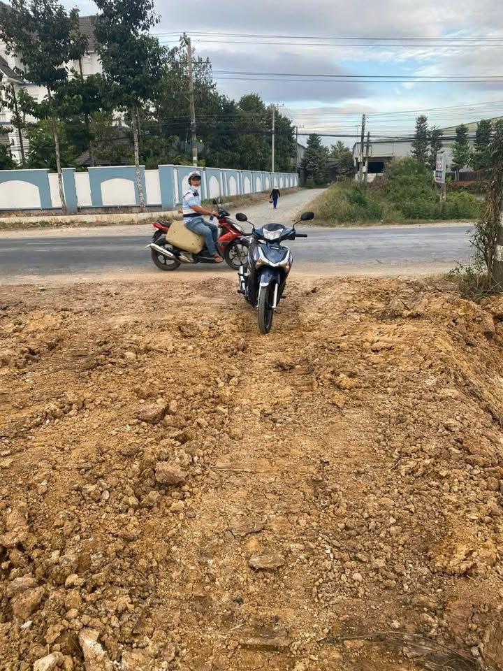 Đất Mặt Tiền QL62 Thạnh Hóa 856m² - Giá 3.1 Tỷ - Kinh Doanh/Đầu Tư