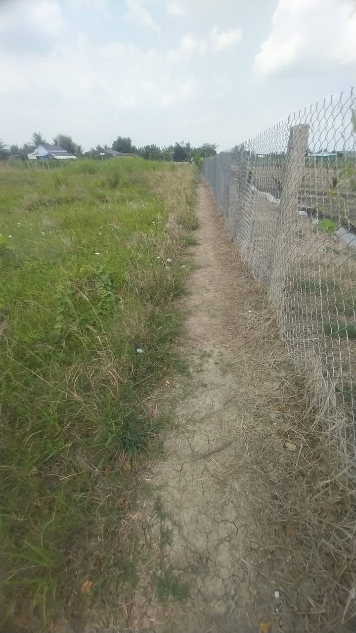 Đất Vĩnh Công, Châu Thành, Long An - 1600m² Sổ Sẵn Giá 370 Triệu