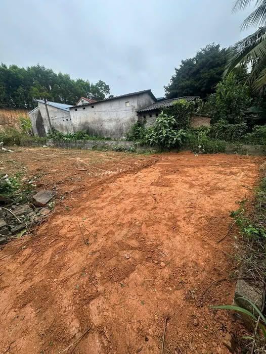 Đất Phường Tích Lương, Thái Nguyên 272m² - Sổ Đỏ Sẵn Sàng Đầu Tư