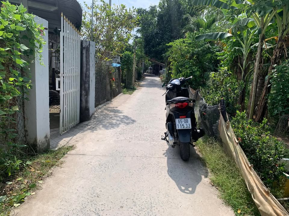 Đất Thổ Cư 128.5m² Phường Ô Môn - View Sông, Sổ Hồng Riêng