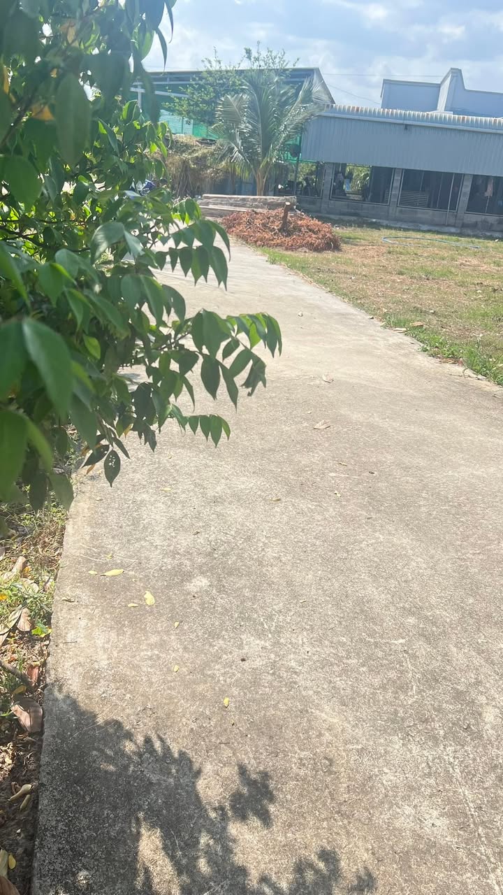 Bán Đất Vườn 1800m² Sổ Đỏ Tại Hàm Hiệp, Bình Thuận - Giá 800 Triệu