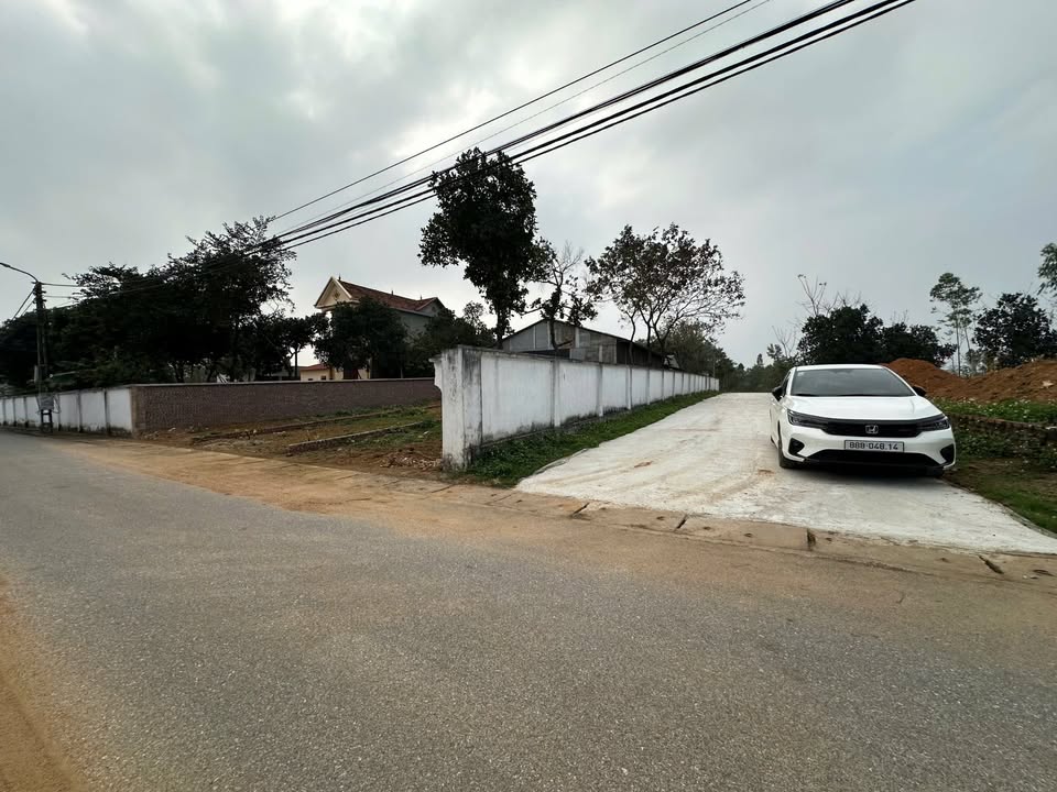 Đất Lô Góc 2 Mặt Tiền Thanh Vân, Tam Dương, Vĩnh Phúc - 100m² Kinh Doanh Tốt