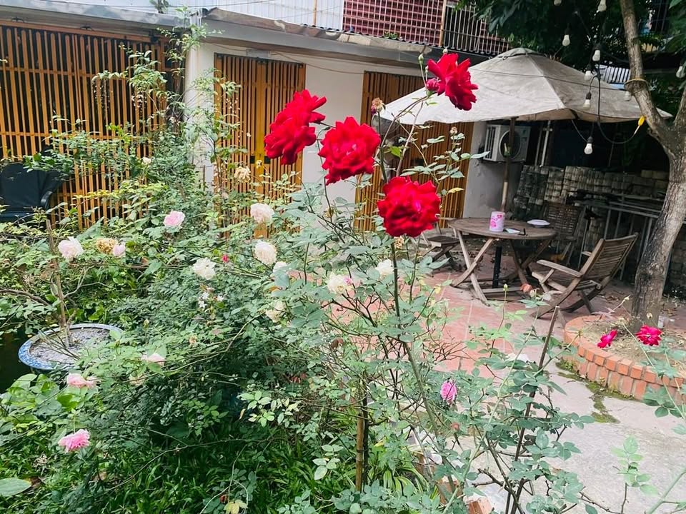 Căn Hộ Tập Thể Sân Vườn Chùa Láng 125m² - Ô Tô Vào Nhà