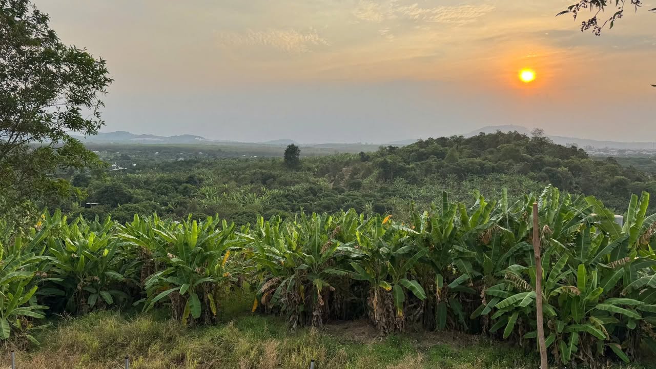 Đất nền Đồng Nai 1.2 tỷ - 1353m² mặt tiền 22m, sổ hồng riêng