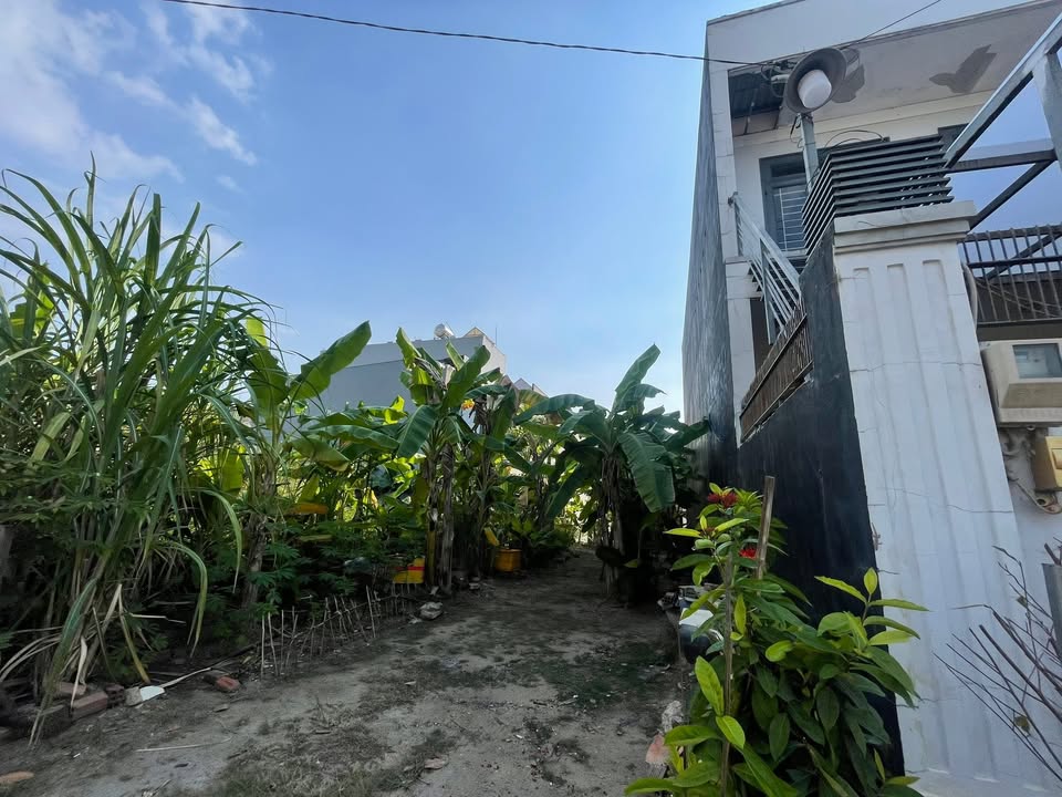 Bán Đất MT Nguyễn Xiển, Thủ Đức 96m² - Sổ Hồng Riêng, Giá 5 Tỷ