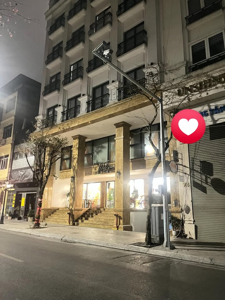 Tòa Nhà 9 Tầng Mặt Tiền Trần Thái Tông, Cầu Giấy - 200m², 130 Tỷ