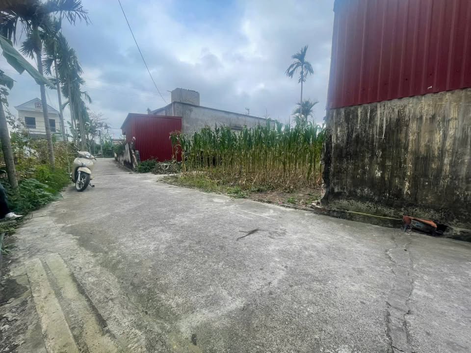 Bán Đất Thái Thụy 91.5m² Full Thổ Cư - Sẵn Sổ Hồng, Giá Chỉ 6xx Triệu