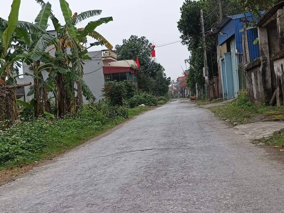 Bán Đất Nền Trục Xã Diên Hà, Hưng Yên - 100m² Mặt Tiền Rộng 8m/lô