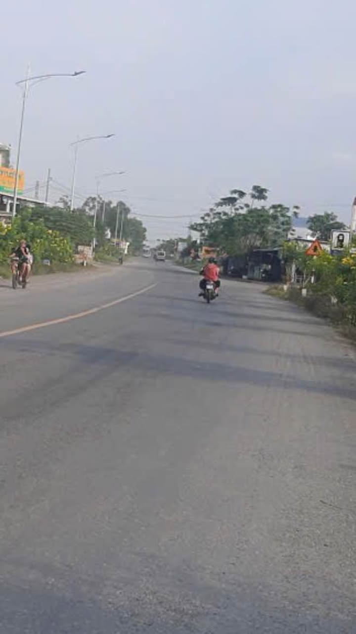 Đất nền 1000m² mặt tiền đường đá xanh, Châu Thành, Tiền Giang - Giá 2.5 tỷ