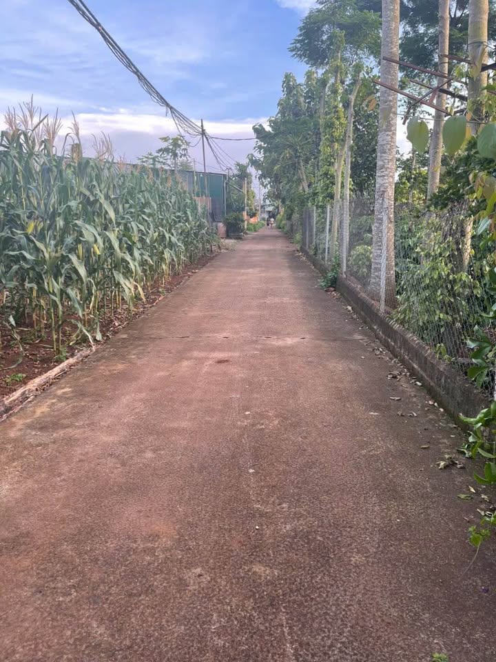 Bán Đất Hẻm Cấp 1 Cư Suê, Đắk Lắk - 1680m² Thổ Cư, Dân Cư Đông Đúc