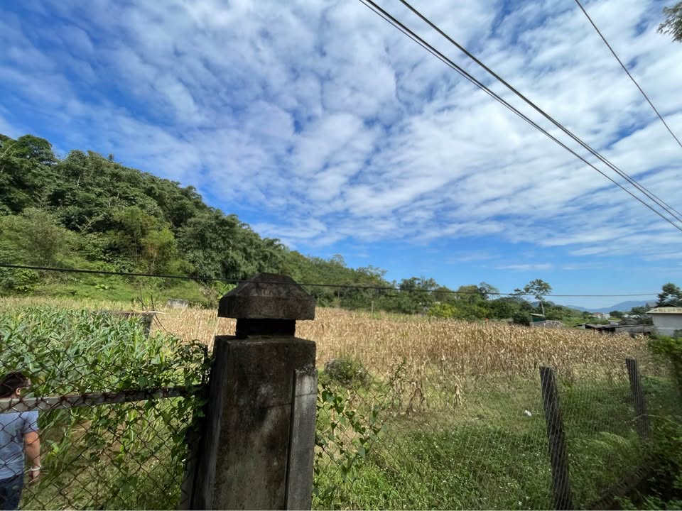 Đất Nền 7000m² Hòa Bình - View Núi, Bám Mặt Đường Xã, Giá Tốt